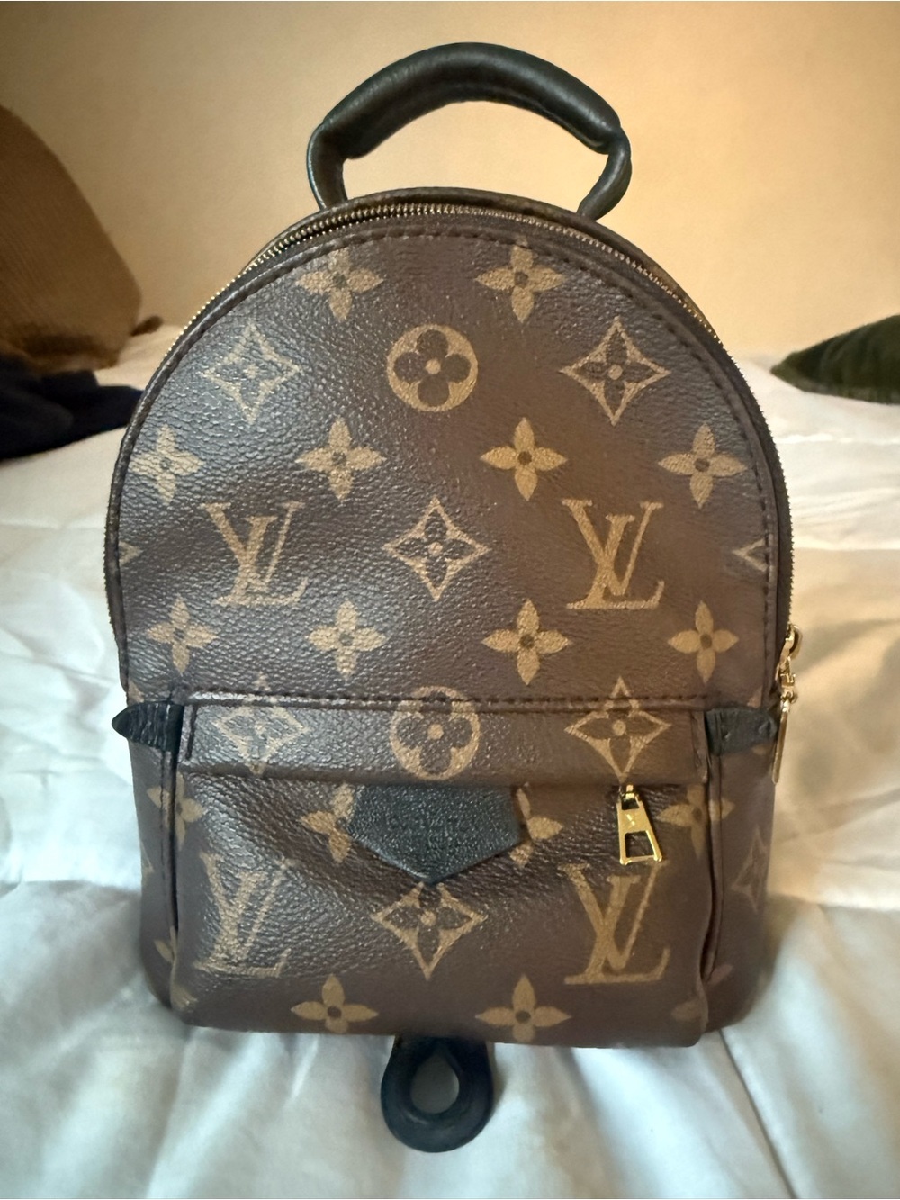 Louis Vuitton Brown Monogram palm spring Mini Backpack